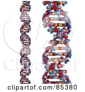 Digital Collage Of 3d Colorful Dna Strands Over White