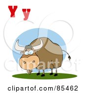 Poster, Art Print Of Yak With Letters Y