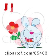 Poster, Art Print Of Rabbit With Letters J