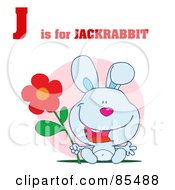 Poster, Art Print Of Rabbit With J Is For Jackrabbit Text
