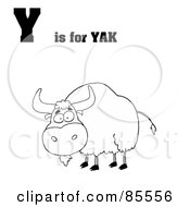 Poster, Art Print Of Outlined Yak With Y Is For Yak Text