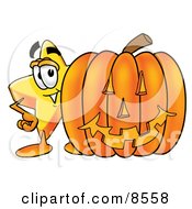 Star Mascot Cartoon Character With A Carved Halloween Pumpkin