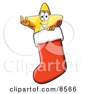 Star Mascot Cartoon Character Inside A Red Christmas Stocking by Mascot Junction