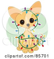Poster, Art Print Of Adorable Christmas Chihuahua Puppy