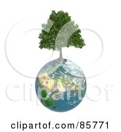 Poster, Art Print Of 3d Tree Growing From On Top Of The Earth