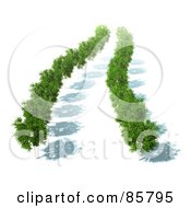 Poster, Art Print Of Aerial View Down On 3d Trees With Green Foliage And Shadows