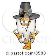 Poster, Art Print Of Tooth Mascot Cartoon Character Wearing A Pilgrim Hat On Thanksgiving