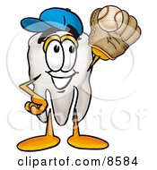 Tooth Mascot Cartoon Character Catching A Baseball With A Glove