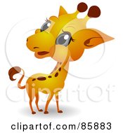 Poster, Art Print Of Adorable Big Head Baby Giraffe