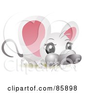 Poster, Art Print Of Adorable Big Head Baby Mouse