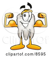 Clipart Picture Of A Tooth Mascot Cartoon Character Flexing His Arm Muscles by Mascot Junction