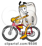 Tooth Mascot Cartoon Character Riding A Bicycle