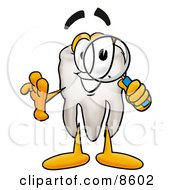 Clipart Picture Of A Tooth Mascot Cartoon Character Looking Through A Magnifying Glass