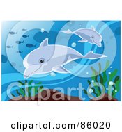 Royalty Free RF Clipart Illustration Of Two Cute Dolphins Swimming With Fish Underwater by mayawizard101