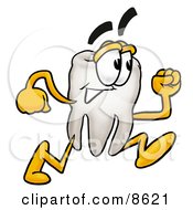 Poster, Art Print Of Tooth Mascot Cartoon Character Running
