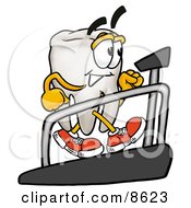 Tooth Mascot Cartoon Character Walking On A Treadmill In A Fitness Gym