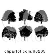 Digital Collage Of Six Silhouetted Black Trees On White