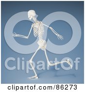 Poster, Art Print Of Running 3d Human Skeleton