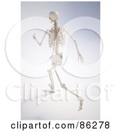 Human Skeleton Running Away