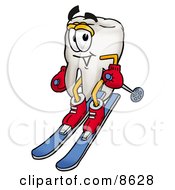 Clipart Picture Of A Tooth Mascot Cartoon Character Skiing Downhill by Mascot Junction