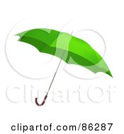Green Umbrella Floating Down Over White