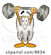 Clipart Picture Of A Tooth Mascot Cartoon Character Holding A Heavy Barbell Above His Head
