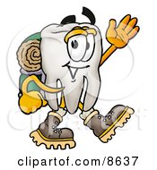 Poster, Art Print Of Tooth Mascot Cartoon Character Hiking And Carrying A Backpack