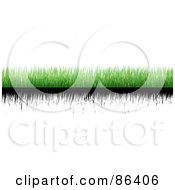Poster, Art Print Of Digital Collage Of Strips Of Green And Black Grass Over White