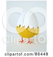 Yellow Chick With An Egg Shell Covering His Face