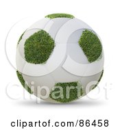 Poster, Art Print Of 3d White And Grassy Soccer Ball