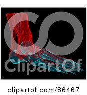Royalty Free RF Clipart Illustration Of A Red And Blue Xray Of A Foot Over Black by Mopic