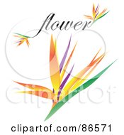 Poster, Art Print Of Bird Of Paradise Flower With The Word Flower
