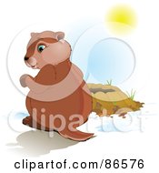 Cute Groundhog Sitting Beside His Hole Looking At His Shadow