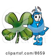 Water Drop Mascot Cartoon Character With A Green Four Leaf Clover On St Paddys Or St Patricks Day by Mascot Junction