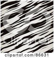 Poster, Art Print Of Diagonal Zebra Print Background