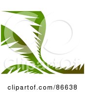 Poster, Art Print Of Wavy Green Palm Background On White