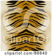 Tiger Print Background Centered