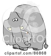 Poster, Art Print Of Grey Elephant Smoking A Cigarette And Looking Back