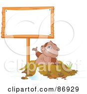 Poster, Art Print Of Cute Groundhog Emerging From His Den And Presenting A Blank Sign Post