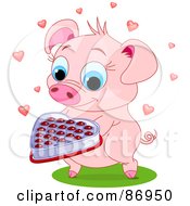 Royalty Free RF Clipart Illustration Of A Sweet Pig Holding Out A Box Of Valentine Chocolates