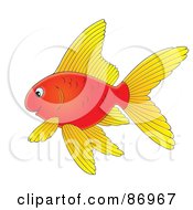 Poster, Art Print Of Red Goldfish With Yellow Fins