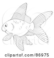 Poster, Art Print Of Outlined Goldfish