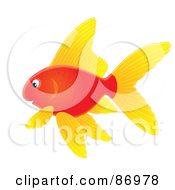 Poster, Art Print Of Red Airbrushed Goldfish With Yellow Fins