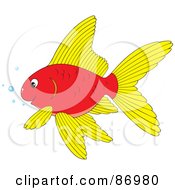 Royalty Free RF Clipart Illustration Of A Red And Yellow Goldfish With Bubbles