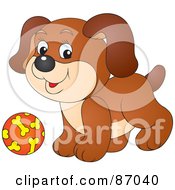 Poster, Art Print Of Cute Brown Puppy Dog Playing With A Ball