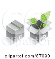 Poster, Art Print Of Two Recycled Cardboard Boxes With A Plant