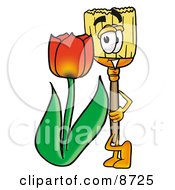 Broom Mascot Cartoon Character With A Red Tulip Flower In The Spring by Mascot Junction
