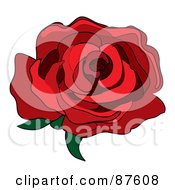 Poster, Art Print Of Single Red Rose Fully Bloomed