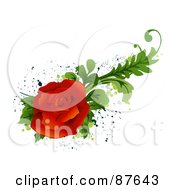 Poster, Art Print Of Bloomed Red Rose With Green Foliage Over Splatters