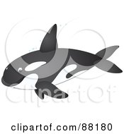 Cute Orca Whale In Profile With Bubbles
